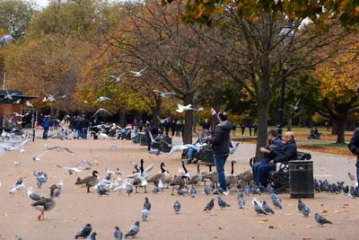 DSC_0651 (Large).JPG